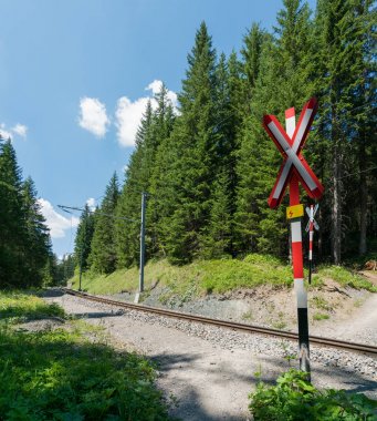 ormanda yürüyüş yolu ve korumasız bir demiryol geçişi
