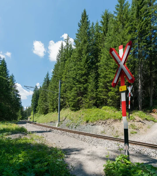 ormanda yürüyüş yolu ve korumasız bir demiryol geçişi