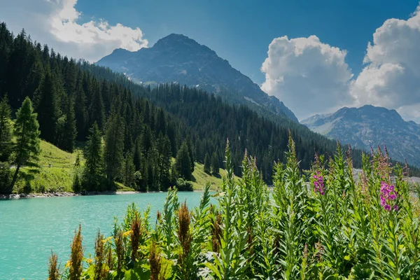 Sommar bergslandskap med turkos sjö och vildblommor i de schweiziska Alperna — Stockfoto