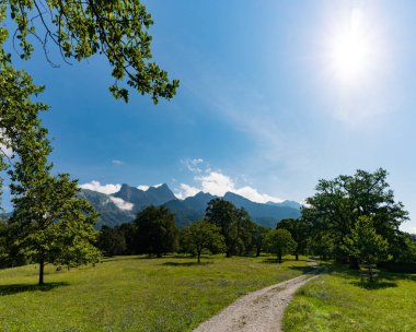 bir üzerinde kır çiçeği çayırları ve ağaçları ile yaz dağ manzara