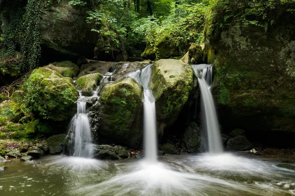 Lüksemburg 'daki yemyeşil yaz ormanında huzurlu bir şelale.