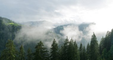 bir orman ve mo yağmurdan sonra sis ve bulutlar arasında parlayan güneş