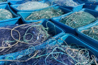 endüstriyel boyut balıkçılık ve trol ile dolu büyük plastik küvetler