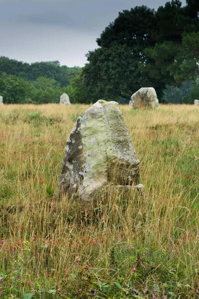 Vista vertical dos alinhamentos de pedra de pé de Carnac em Brit — Fotografia de Stock