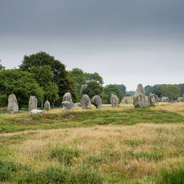 Içinde Carnac duran taş hizalama kare biçimli görünümü