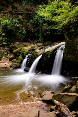 Bereketli yeşil orman manzarasında küçük bir şelale.
