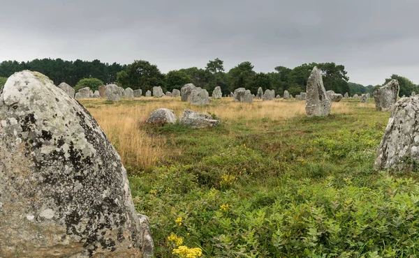 Las alineaciones prehistóricas de piedra de pie de Carnac en Bretaña — Foto de Stock