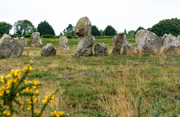 Las alineaciones prehistóricas de piedra de pie de Carnac en Bretaña — Foto de Stock