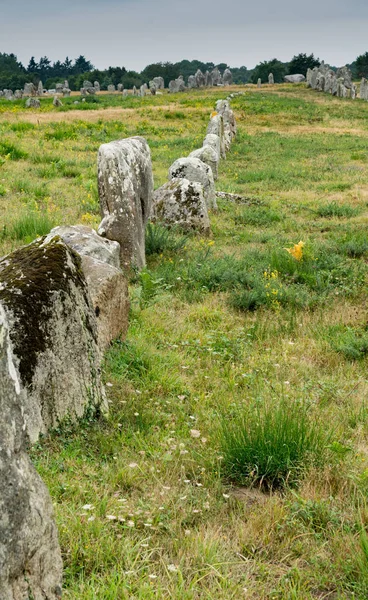 Vista vertical de las alineaciones de piedra de pie de Carnac en Brit — Foto de Stock