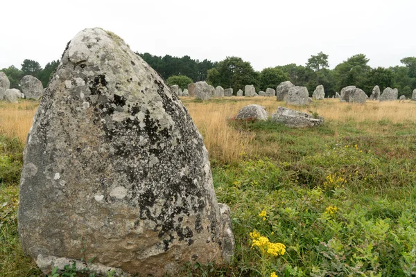 Las alineaciones de piedra de pie de Carnac en Bretaña — Foto de Stock