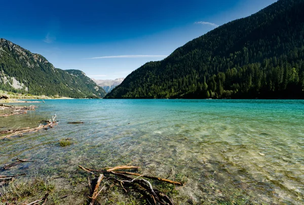 Idylliska och pittoreska turkosa fjällsjö omgiven av grön arolla tallskog — Stockfoto