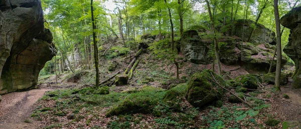 Wilde grüne europäische Wälder und Sandsteinschluchten — Stockfoto