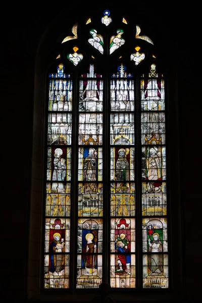 歴史的なノートルダム寺院のステンドグラスの窓の近くの景色 — ストック写真