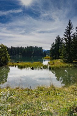 Sonbaharda çam ormanlarıyla çevrili dağ gölü