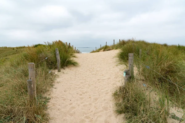 Sandy path leads to an wild beach — Stock Photo, Image