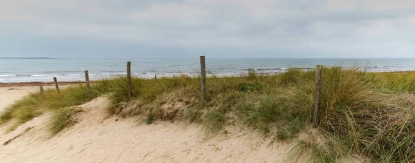 Homokos ösvény vezet egy vad strandra — Stock Fotó