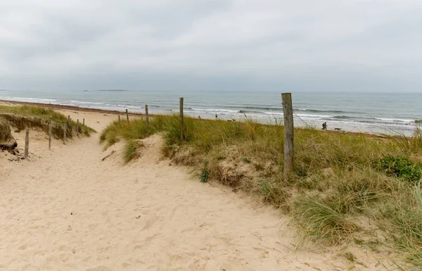 Homokos ösvény vezet egy vad strandra — Stock Fotó