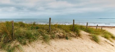 Kumlu yol vahşi bir sahile çıkar.