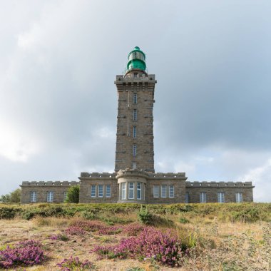 Cap Frehel deniz feneri ve leylak fundalığı manzarası