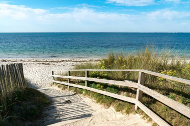 well-kept wooden beach access leading through sand dunes to an empty beach clipart