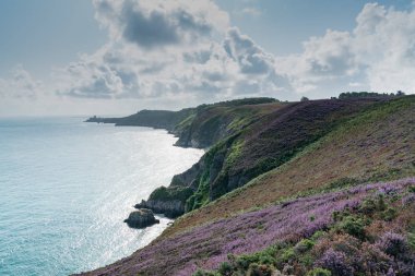 Okyanus kıyısındaki renkli fundalıklar ve sarp kayalıklar