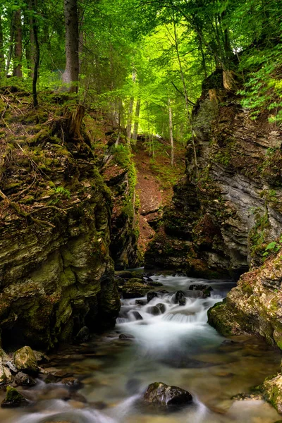 緑豊かな春の森の中の深い広大な峡谷で牧歌的な小さな渓流の景色 — ストック写真