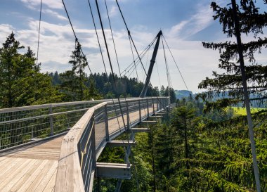 Scheidegg, Bavyera / Almanya - 26 Haziran 2020: Scheidegg 'in güney Bavyera tepelerindeki ağaç tepesi ve patika manzarası