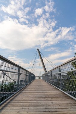 Scheidegg, Bavyera / Almanya - 26 Haziran 2020: Scheidegg 'in güney Bavyera tepelerindeki ağaç tepesi ve patika manzarası