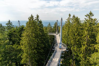 Scheidegg, Bavyera / Almanya - 26 Haziran 2020: Scheidegg 'in güney Bavyera tepelerindeki ağaç tepesi ve patika manzarası