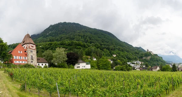 Vaduz Liechtenstein Junho 2020 Vista Panorâmica Histórica Casa Vermelha Século — Fotografia de Stock