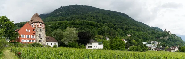 Vaduz リヒテンシュタイン 2020年6月16日 リヒテンシュタインの歴史的な13世紀の赤い家のパノラマビュー — ストック写真