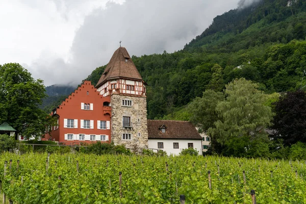 Vaduz リヒテンシュタイン 2020年6月16日 リヒテンシュタインの歴史的な13世紀の赤い家の水平方向の景色 — ストック写真