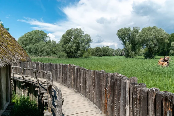 Unteruhldingen Germany Червня 2020 Вид Музей Купи Фермера Унтерульдігені Озері — стокове фото