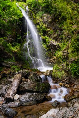Almanya 'nın Kara Orman bölgesinde yaz aylarında Fahl' daki şelalelerin manzarası