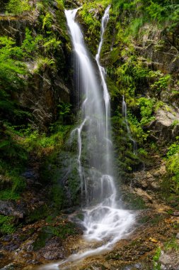 Almanya 'nın Kara Orman bölgesinde yaz aylarında Fahl' daki şelalelerin manzarası