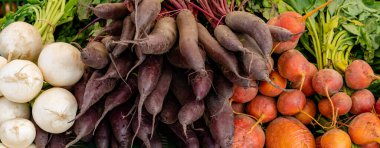 Farklı renkte organik şalgam ve türlere yakın çekim