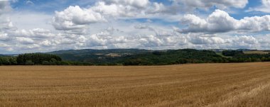 Almanya 'daki Rhineland-Palatinate tepelerindeki geniş kesim altın buğday tarlalarının manzarası