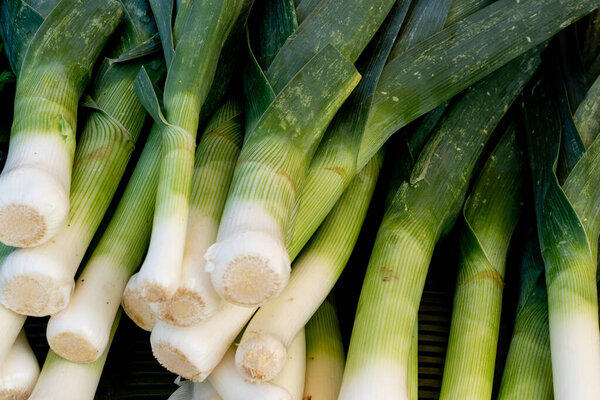A close up view of organic leeks