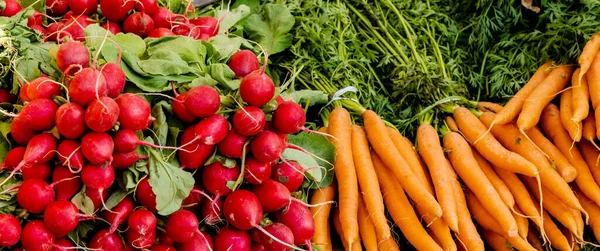 Una Vista Cerca Racimos Rábanos Orgánicos Zanahorias —  Fotos de Stock