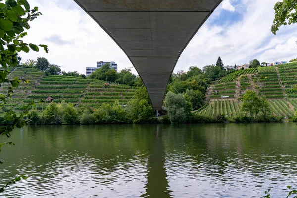 Puente Colgante Sobre Río Neckar Lago Max Eyth Stuttgart — Foto de Stock