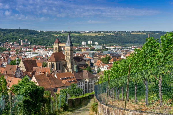 Uma Vista Alta Anlge Cidade Velha Bonita Esslingen Neckar — Fotografia de Stock