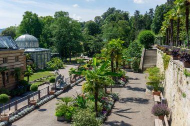 Stuttgart, BW / Almanya - 20 Temmuz 2020: Stuttgart 'taki Wilhelma zoolojik ve botanik bahçelerinin güzel toprakları