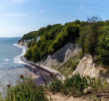A view of the beautiful lime and chalkstone cliffs in Jasmund National Park on Ruegen Island in Germany clipart