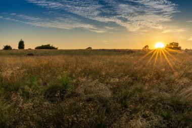 Aşağı Saksonya 'daki Lunenburger Heath' de muhteşem bir gün batımı.