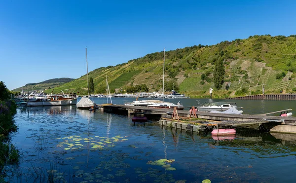 Enkirch Germany July 2020 Harbour Mosel River Enkirch Vineyards Hills — 图库照片