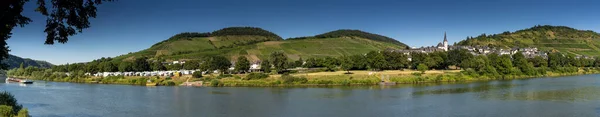 Enkirch Germany July 2020 Panorama View Village Enkirch Park Mosel — Stock Photo, Image