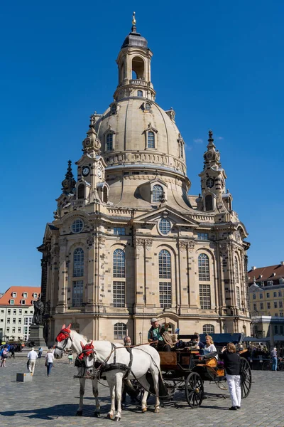 德国萨克森德累斯顿 2020年9月3日 德累斯顿市中心弗劳恩基尔奇教堂前的马匹和马车 — 图库照片