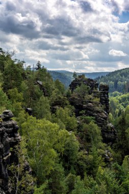 Sakson İsviçre 'deki Elbsandstein dağlarında orman ve kaya sütunları olan bir manzara.