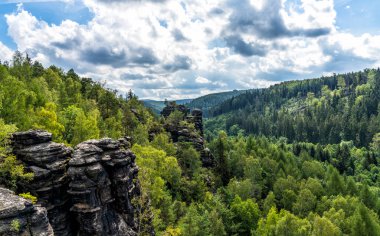Sakson İsviçre 'deki Elbsandstein dağlarında orman ve kaya sütunları olan bir manzara.