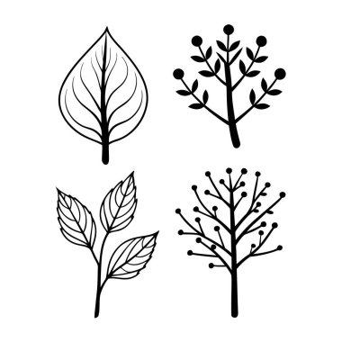 Yaprakları ve dalları